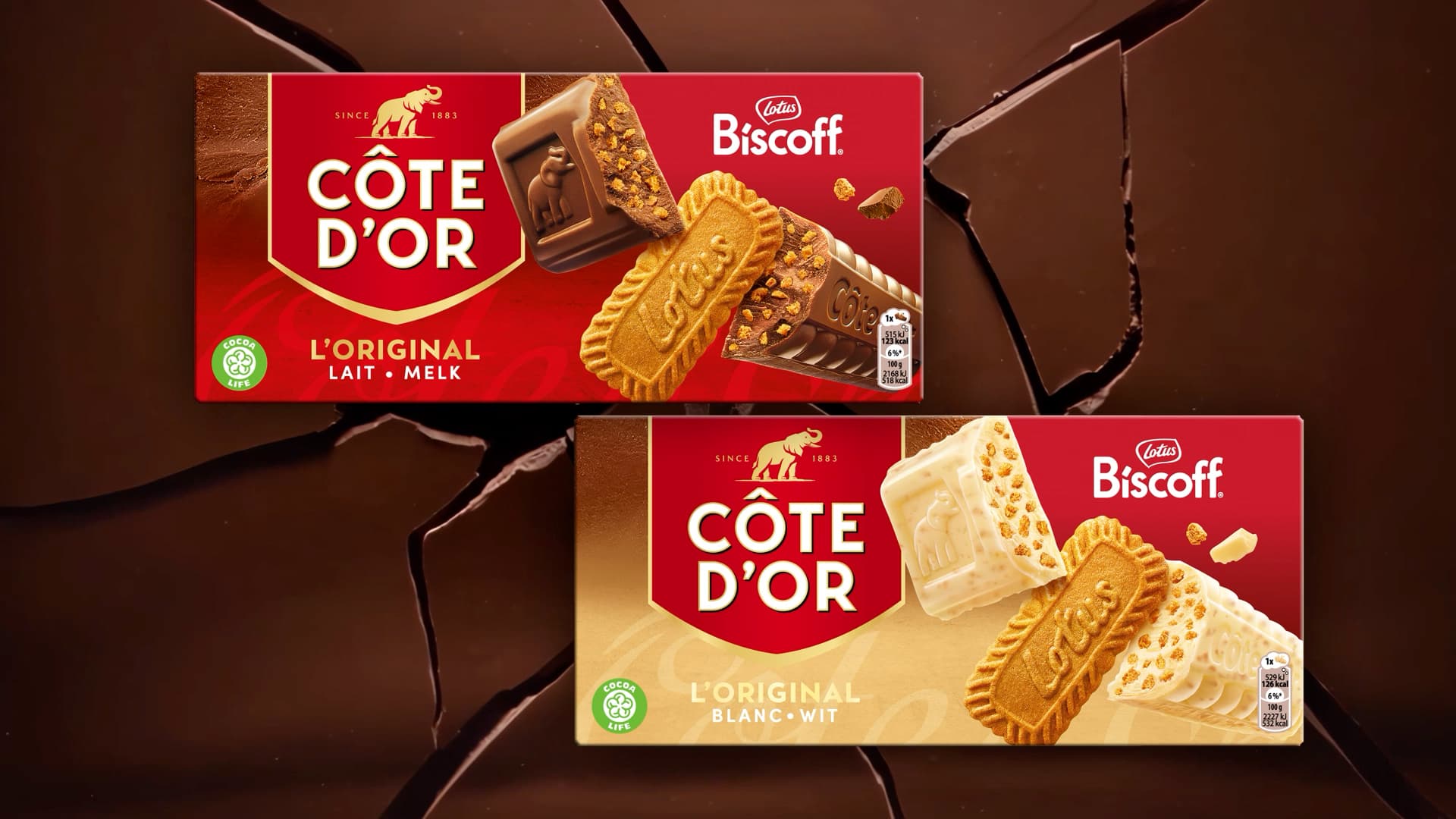 Côte d’Or x Biscoff milk and white chocolate bars on cracked chocolate
